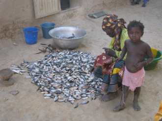 03 Poisson Frais